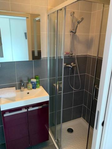 Petit Studio Dans Villa Bord De Lac อิกซ์เลส์แบ็งส์ ภายนอก รูปภาพ